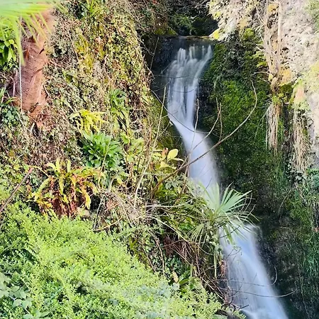 Piccola Luna Apartament *