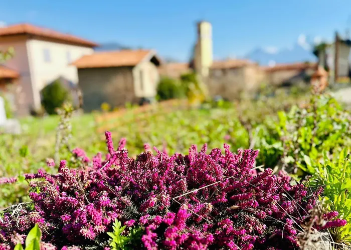 Apartment Piccola Luna Menaggio